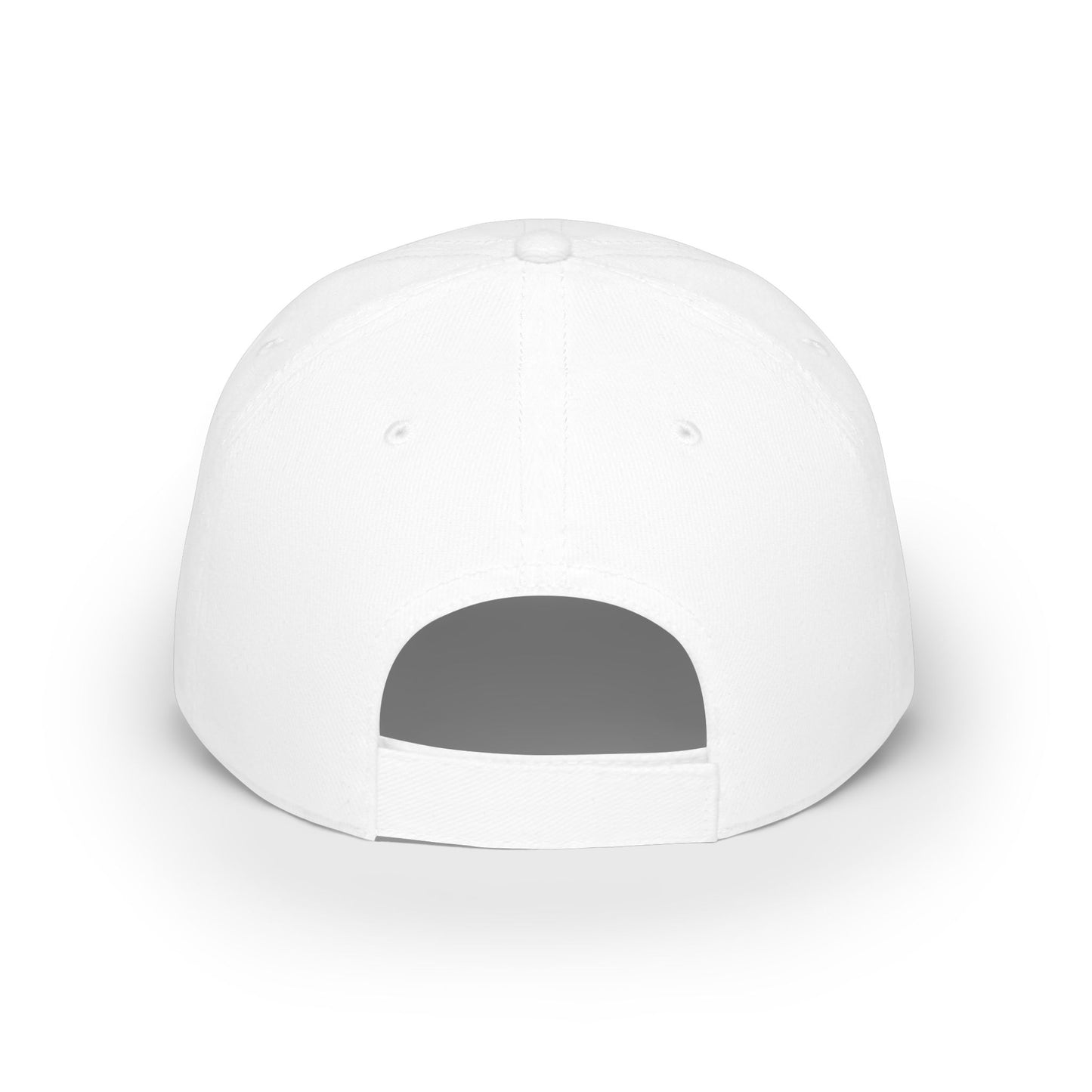PDA — American Flag Shield Low Profile Baseball Hat