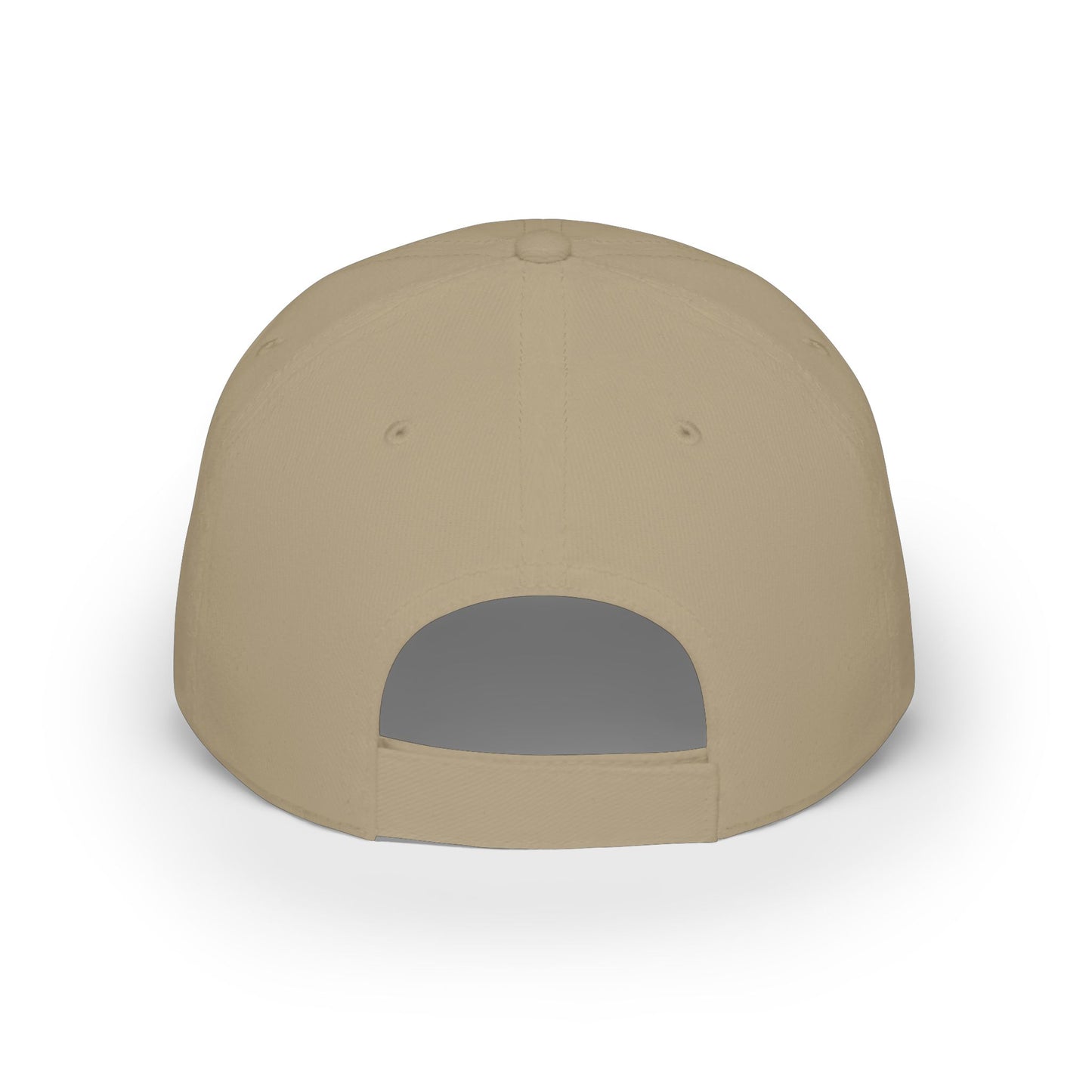 PDA — American Flag Shield Low Profile Baseball Hat